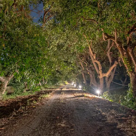 Giardino Degli Avocadi