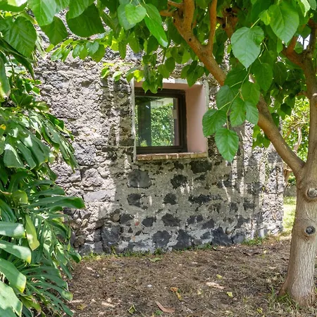 Giardino Degli Avocadi * Giarre